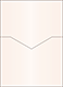 Coral metallic Pocket Card 5 1/4 x 7 1/4 - 10/Pk