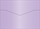 Violet Pocket Card 7 1/4 x 5 1/4 - 10/Pk