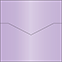 Violet Pocket Card 5 3/4 x 5 3/4 - 10/Pk