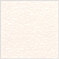 Patina (Textured) Square Flat Card 6 x 6 - 25/Pk