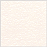 Patina (Textured) Square Flat Card 7 1/4 x 7 1/4 - 25/Pk