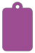 Plum Punch Style C Tag (2 1/4 x 3 1/2) 10/Pk