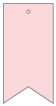 Pink Feather Style K Tag (2 x 4) 10/Pk