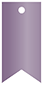 Metallic Purple Style K Tag (2 x 4) 10/Pk