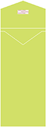 Citrus Green Thick-E-Lope Style A4 (4 1/4 x 9 1/2) - 10/Pk