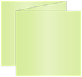 Sour Apple Trifold Card 5 3/4 x 5 3/4