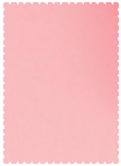 Stardream Rose  - Scallop Card -  4 1/4 x 5 1/2  - 25/pk