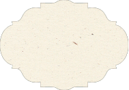 Milkweed  - Venetian Card -  4 1/2 x 6 1/4  - 25/pk