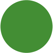 Leaf Green  - Circle Card 4 1/4 inch  - 25/pk