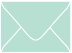 Daffy Blue Gift Card Envelopes 2 5/8 x 3 5/8- 50/Pk