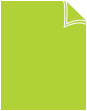 On Sale:Apple Green Cover 11 x 17<br>25/Pk