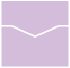 Lavender Card Holder 5 3/4 x 5 3/4 - 10/pk