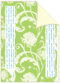 Chrysanthemum Green/Serpentine Backing Card with Liner - 5 1/4 x 7 1/4 - 25/pk