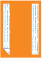 Pumpkin  Backing Card with Liner -  5 1/4 x 7 1/4  - 25/pk