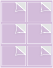 Purple Lace Exacto Labels -3 5/16 x 4 - 6 Labels/Sh - 5 Sh/Pk