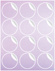 Stardream Alpine Exacto Labels -2 1/2 inch Round -12 Labels/Sh- 5 Sh/Pk