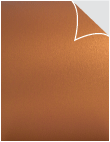 Stardream Copper Exacto Labels - Full Sheet  - 8 1/2 x 11- 5 Sh/Pk