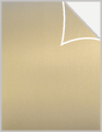 Stardream Gold Leaf Exacto Labels - Full Sheet  - 8 1/2 x 11- 5 Sh/Pk