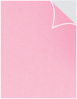 Stardream Rose Exacto Labels - Full Sheet  - 8 1/2 x 11- 5 Sh/Pk