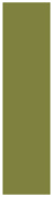Olive Belly Belts 4 1/2 x 18 - 25/Pk 10/Pk