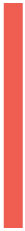 Matte Coral Belly Belts 1 1/2 x 18
