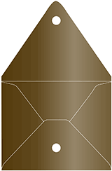 Bronze Metallic Velcro Envelopes (9 x 11 1/2) - 5/Pk