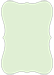 Green Tea Bracket Card 3 1/2 x 5 - 25/Pk
