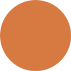 Papaya Circle Card 4 3/4 Inch - 25/Pk