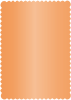 Mandarin Scallop Card 4 1/4 x 5 1/2 - 25/Pk