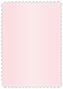 Rose Scallop Card 4 1/4 x 5 1/2 - 25/Pk