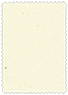 Milkweed Scallop Card 5 x 7 - 25/Pk