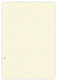Milkweed Scallop Card 5 x 7 - 25/Pk