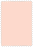 Ginger Scallop Card 5 x 7 - 25/Pk