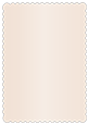 Nude Scallop Card 5 x 7
