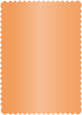 Mandarin Scallop Card 5 x 7 - 25/Pk