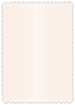 Coral metallic Scallop Card 5 x 7 - 25/Pk