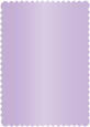 Violet Scallop Card 5 x 7 - 25/Pk