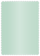 Lagoon Scallop Card 5 x 7 - 25/Pk
