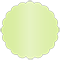 Sour Apple Scallop Circle Card 3 1/2 Inch - 25/Pk