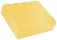 Gold Gift Box 9 x 12 x 2 1/2