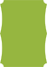Iguana Deco Card 3 1/2 x 5 - 25/Pk