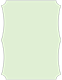 Green Tea Deco Card 4 1/4 x 5 1/2 - 25/Pk