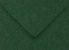 Colorplan Forest Booklet Envelope 6 x 9 - 91 lb . - 50/Pk