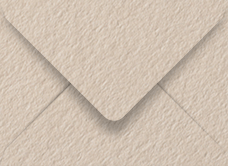 Colorplan Mist (Beige) Booklet Envelope 6 x 9 - 91 lb . - 50/Pk