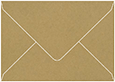 Natural Kraft Booklet Envelope 6 x 9 - 50/Pk