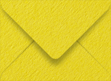 Colorplan Factory Yellow Booklet Envelope 6 x 9 - 91 lb . - 50/Pk