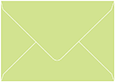 Pistachio Booklet Envelope 6 x 9 - 50/Pk