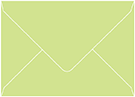 Pistachio Booklet Envelope 6 x 9 - 50/Pk