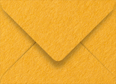 Colorplan Citrine (Bumble Bee) Booklet Envelope 6 x 9 - 91 lb . - 50/Pk