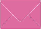 Raspberry Booklet Envelope 6 x 9 - 50/Pk